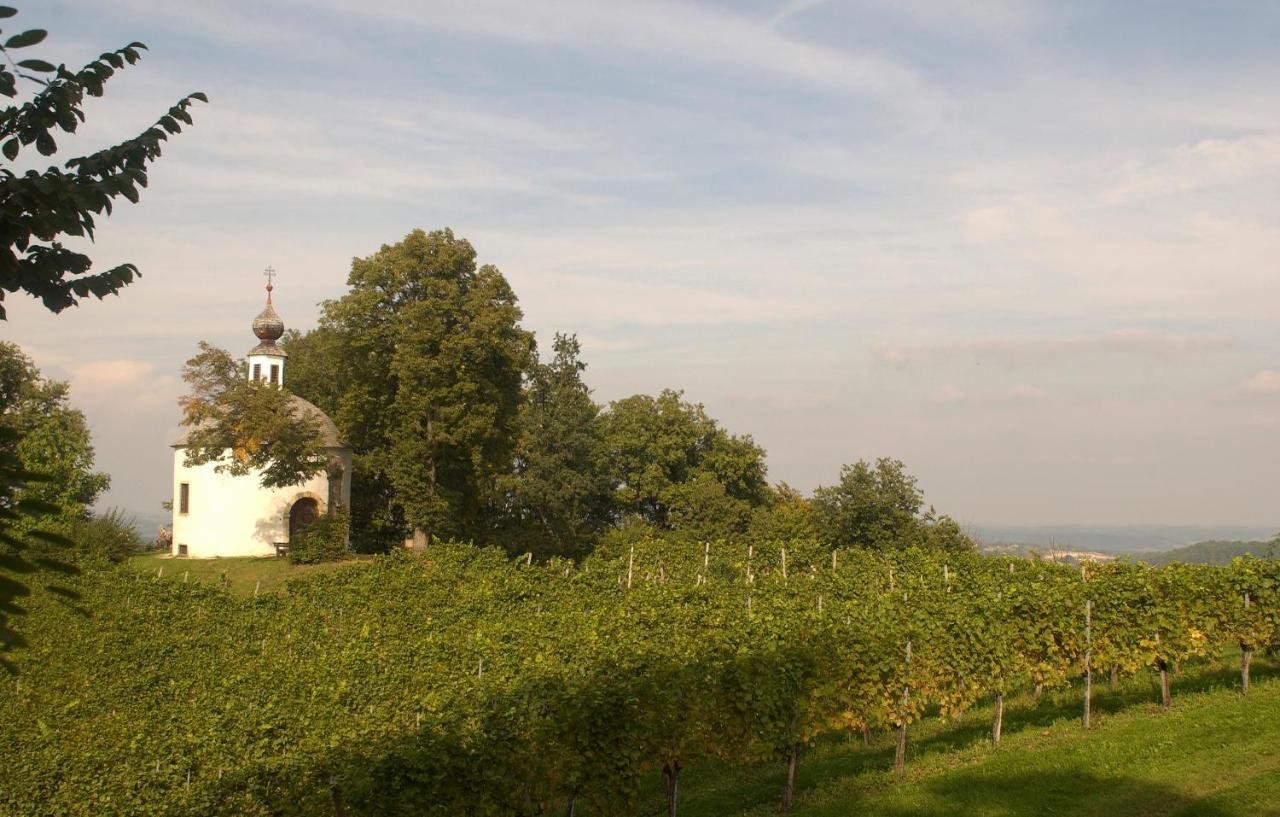 Schloss Kapfenstein エクステリア 写真