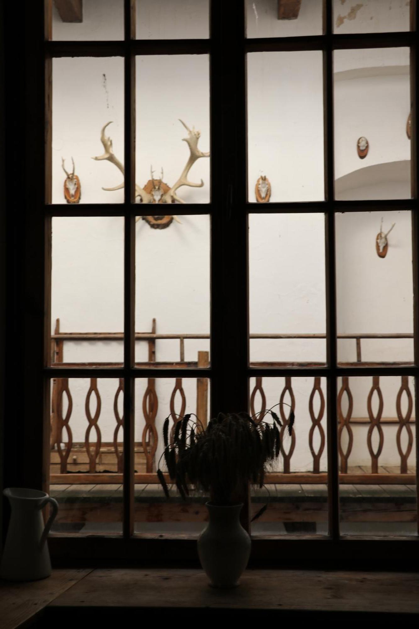 Schloss Kapfenstein エクステリア 写真