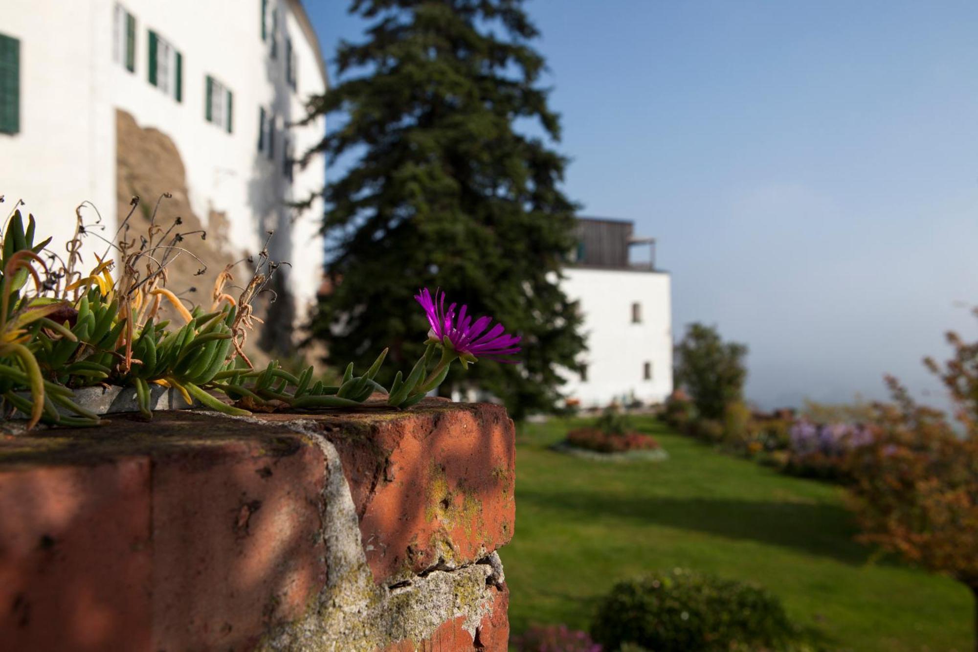 Schloss Kapfenstein エクステリア 写真